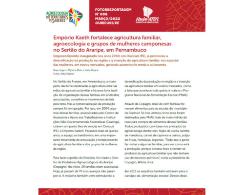 Empório Kaeth fortalece agricultura familiar, agroecologia e grupos de mulheres camponesas no Sertão do Araripe, em Pernambuco